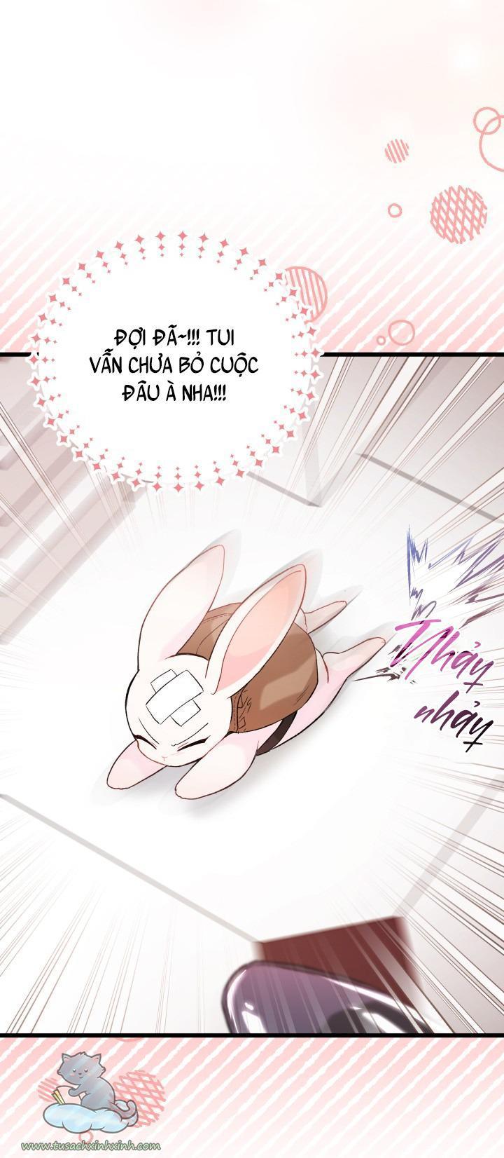 quan hệ cộng sinh giữa báo đen và thỏ trắng chapter 59 41