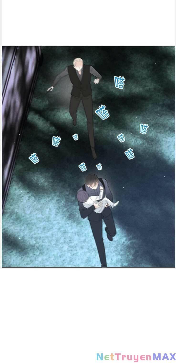 một vợ yêu, một bé con chapter 275 15