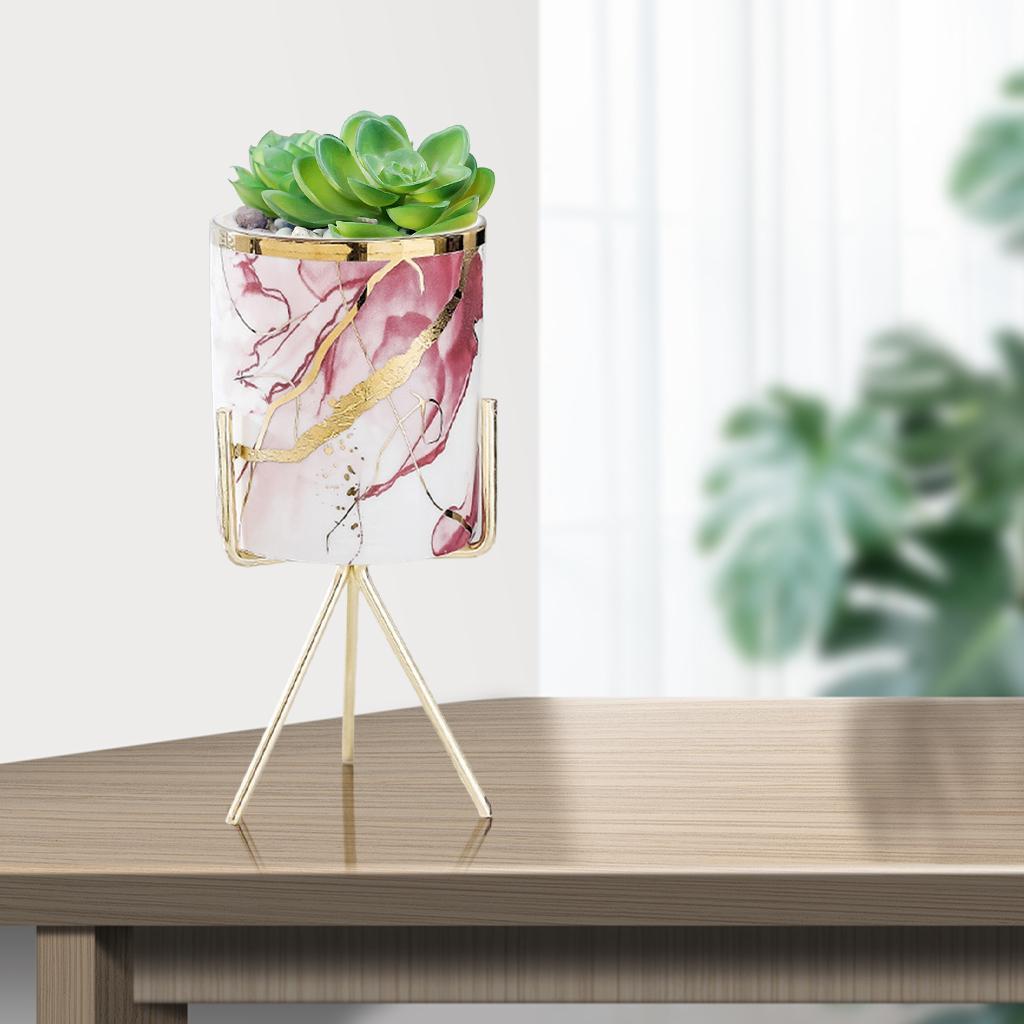 2x Ceramic Succulent Flower Planter Iron Pot Shelf Stand Home Decor