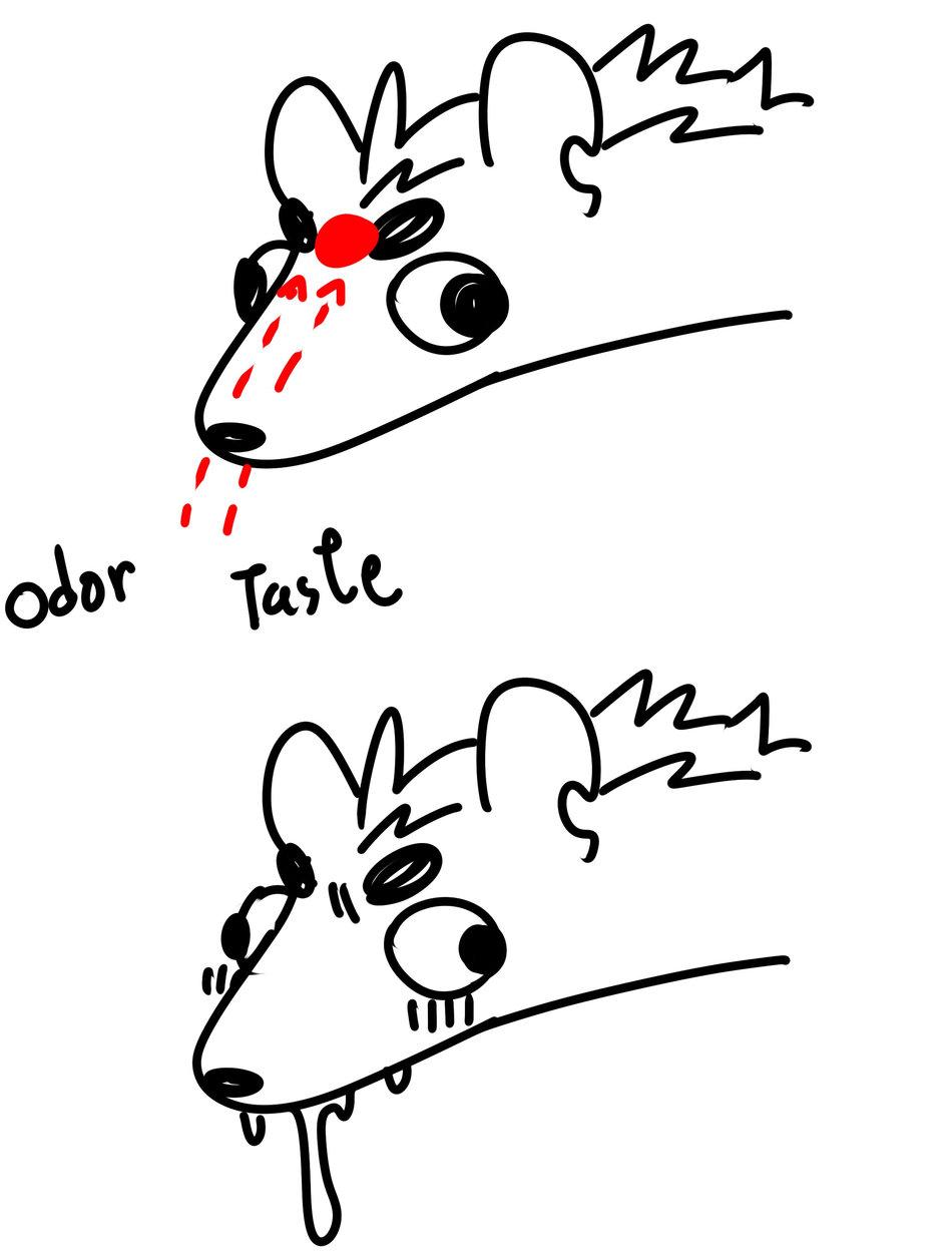 oneshot nhân thú mặn mòi chapter 22 33