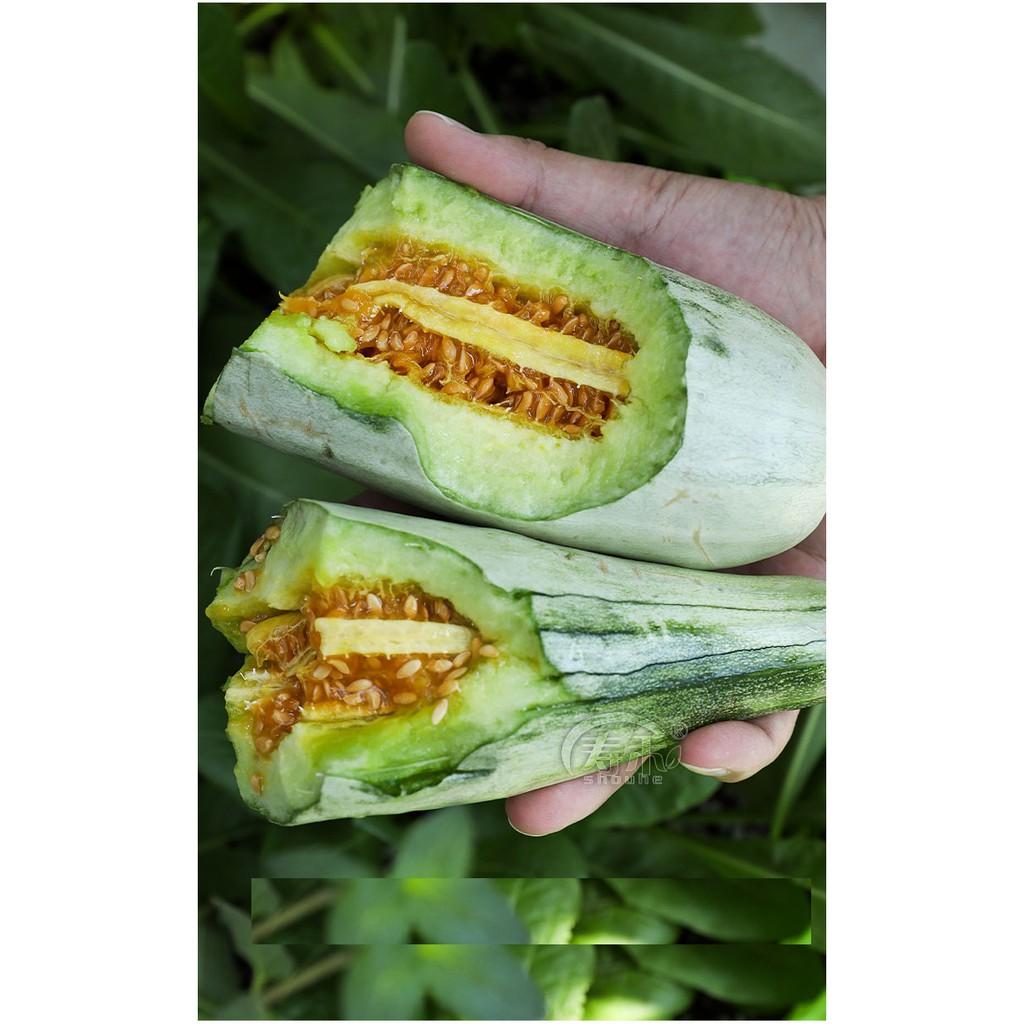Hạt giống Dưa lê quả dài Yang Jiao Mi F1 - Dưa lê chuối 0.3gr/gói