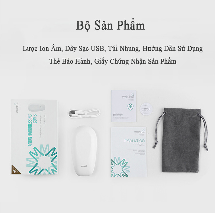 Lược chăm sóc tóc ion âm  wellskins fz200