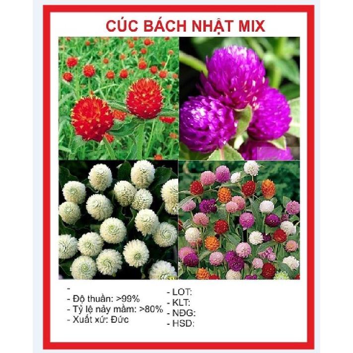 Hạt Giống Hoa Cúc Bách Nhật Mix màu -gói 100 hạt