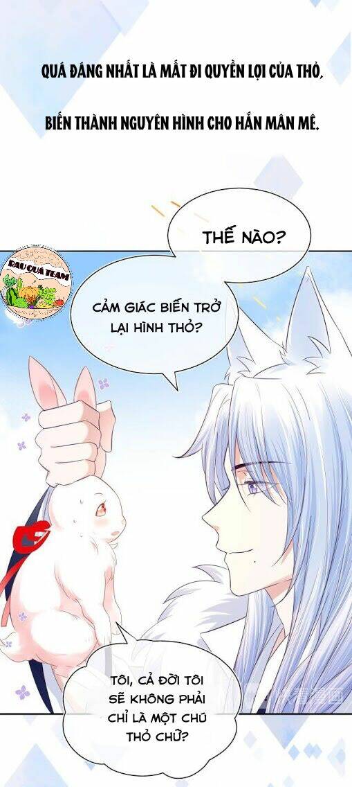 hắc hóa nam chính trực tuyến nuôi thỏ chapter 1 14
