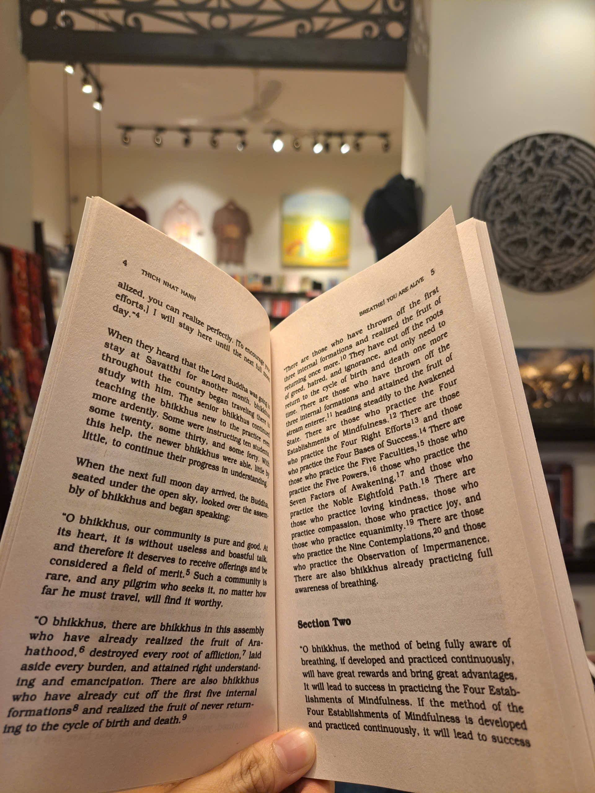 Sách - Breathe! You Are Alive by Thich Nhat Hanh | Religion / Phật giáo / Ngoại văn Nhập khẩu