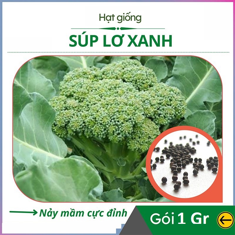 Hạt Giống Súp Lơ Xanh SL-1 - Gói 1Gr