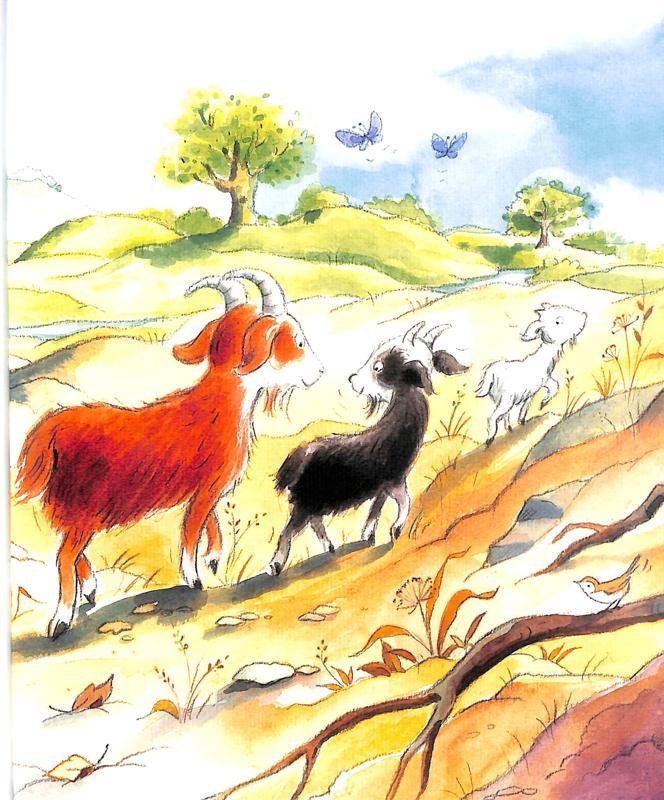 Ladybird Stories For Five Year Olds