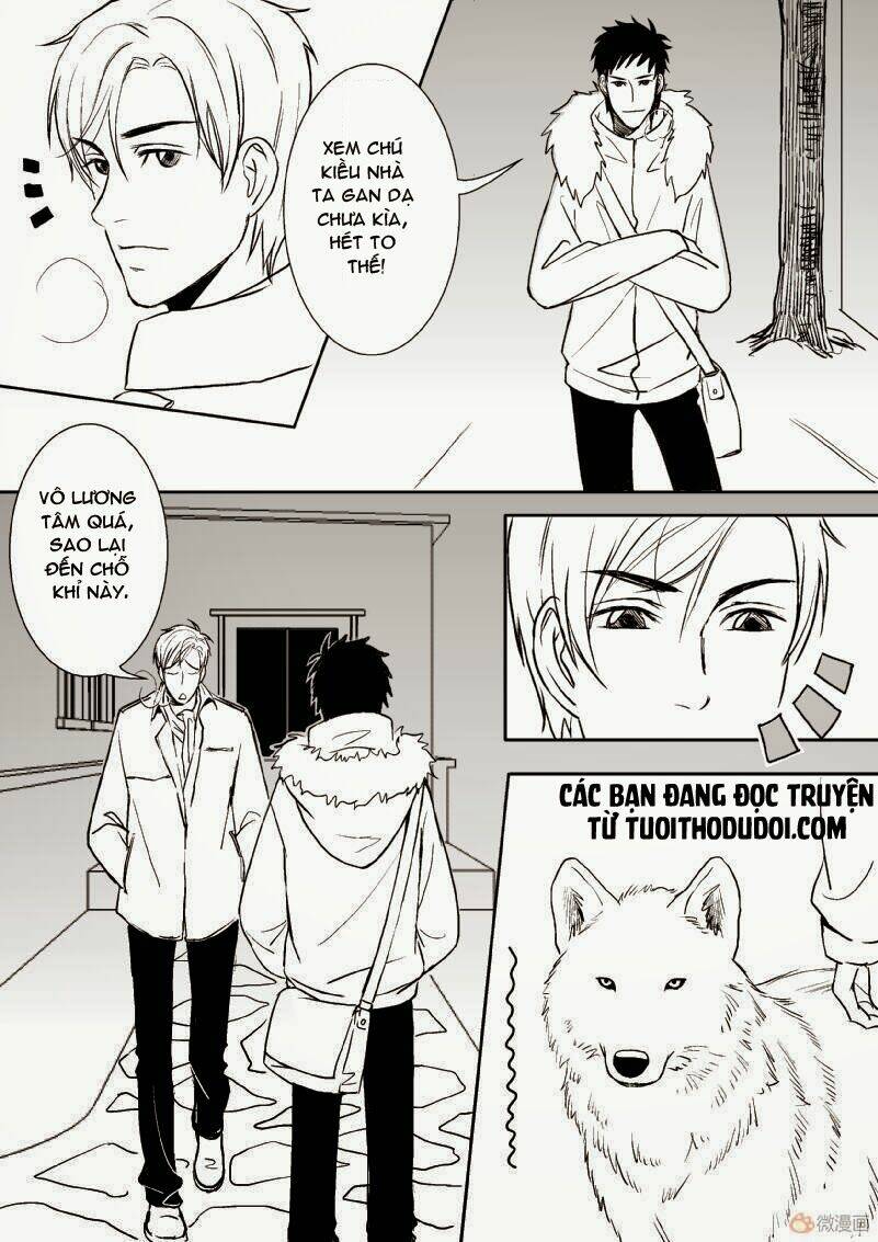 sự mê hoặc của sói chapter 21 8