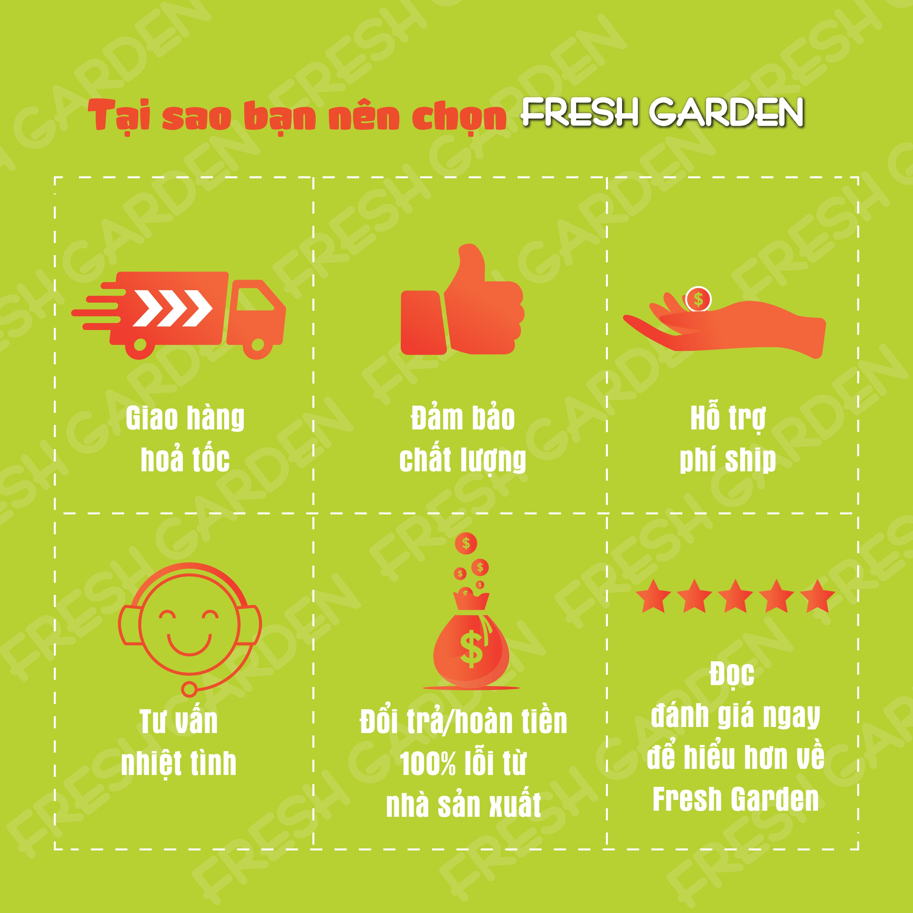 Bánh Quy Bơ Ăn Vặt FRESH GARDEN Vị Mứt Dâu Thơm Lừng Hương Bơ Và Vani Hộp 120g