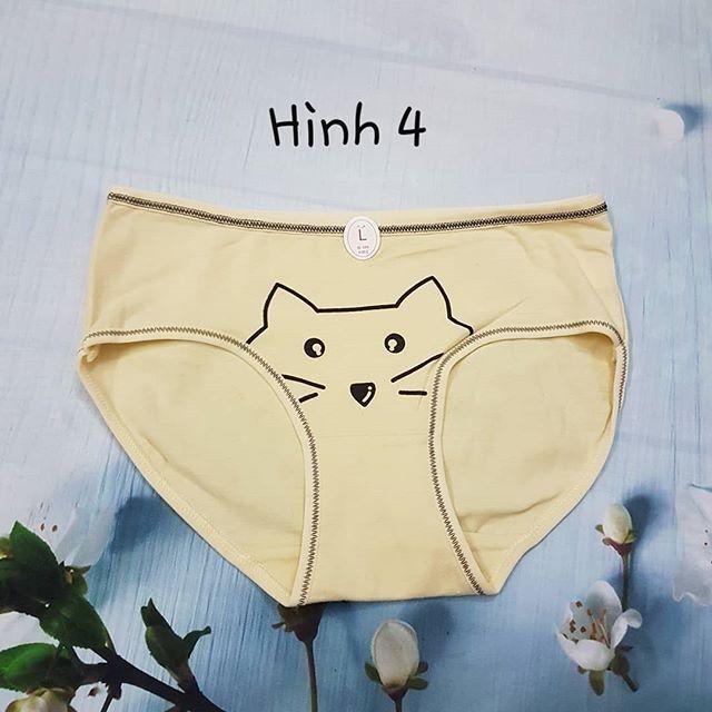 Quần lót nữ in hình ngộ nghĩnh