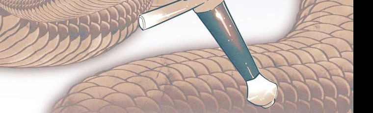 em ấy muốn trở thành chồng của tôi chapter 33.1 20