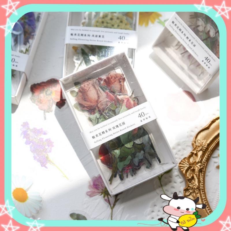 Sticker hoa lá trang trí sổ tay kiểu hồng đào cúc dán điện thoại trang trí planner laptop ST5