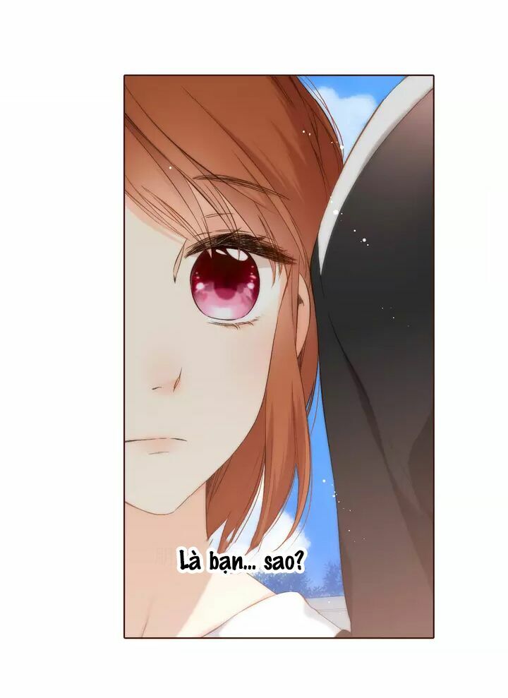 Tình yêu là màu hoa anh thảo chapter 34.1 21