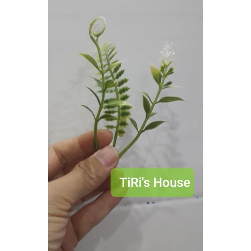 100gr Cỏ điểm ký trộn mẫu hoặc 1 mẫu