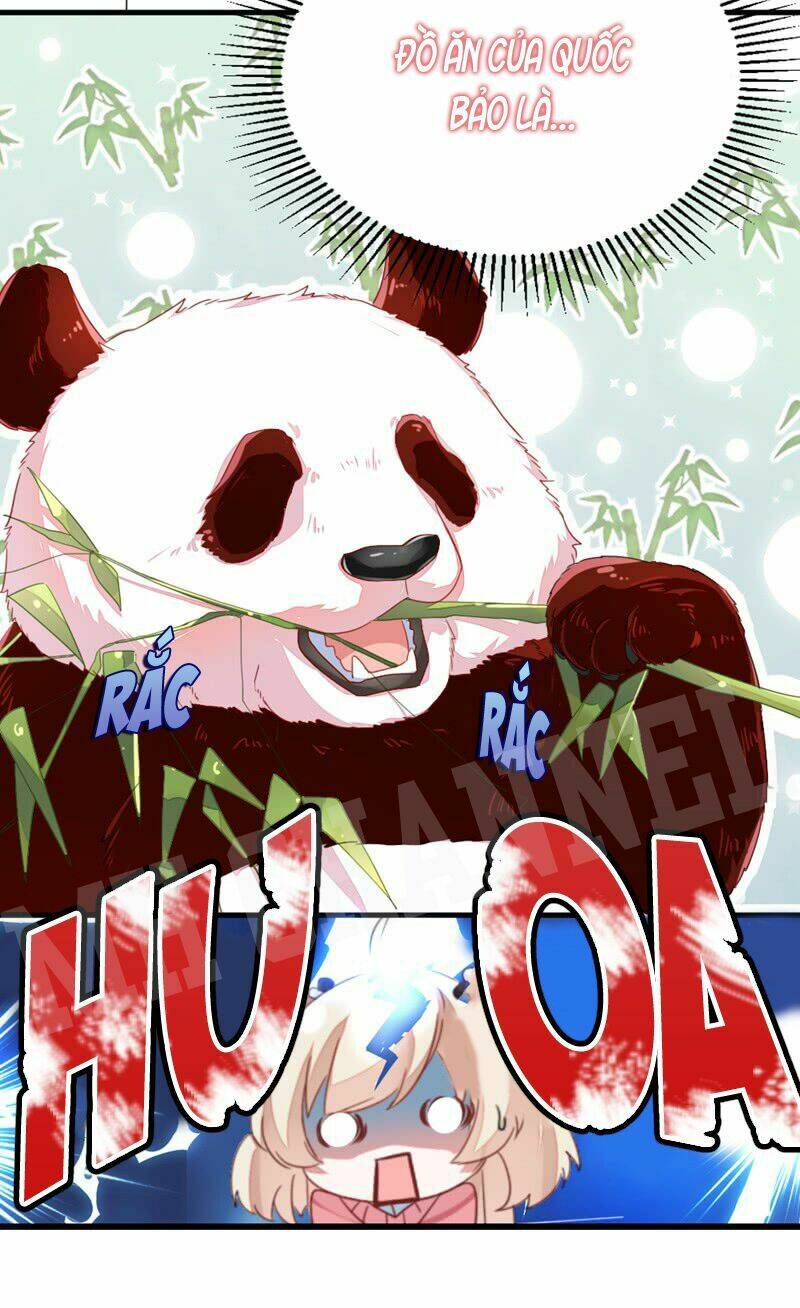 thiên thần gấu trúc muốn được ôm chapter 11 16