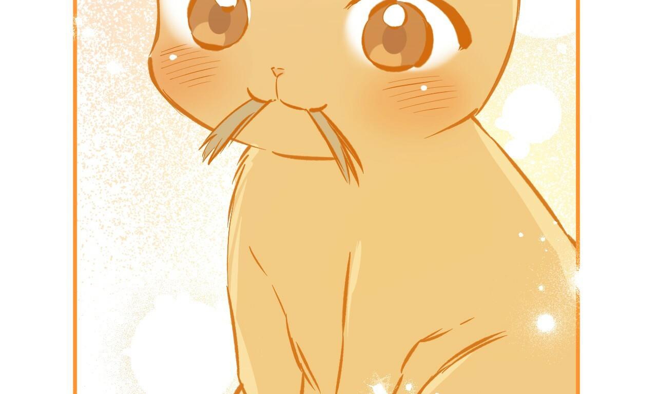 những chú thỏ của hapypy chapter 56 25