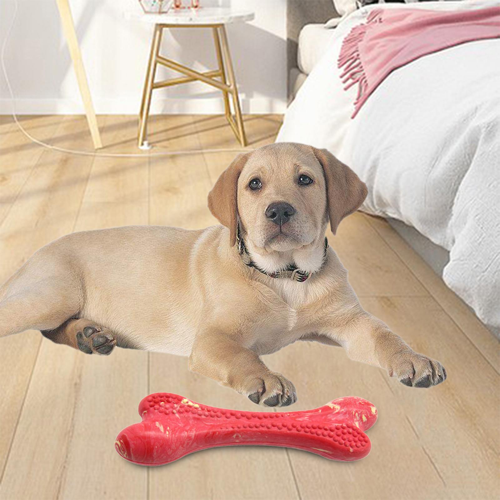 2 Packs Dog Chews Toys, chew bone for Small Medium Large dogs Dental Care