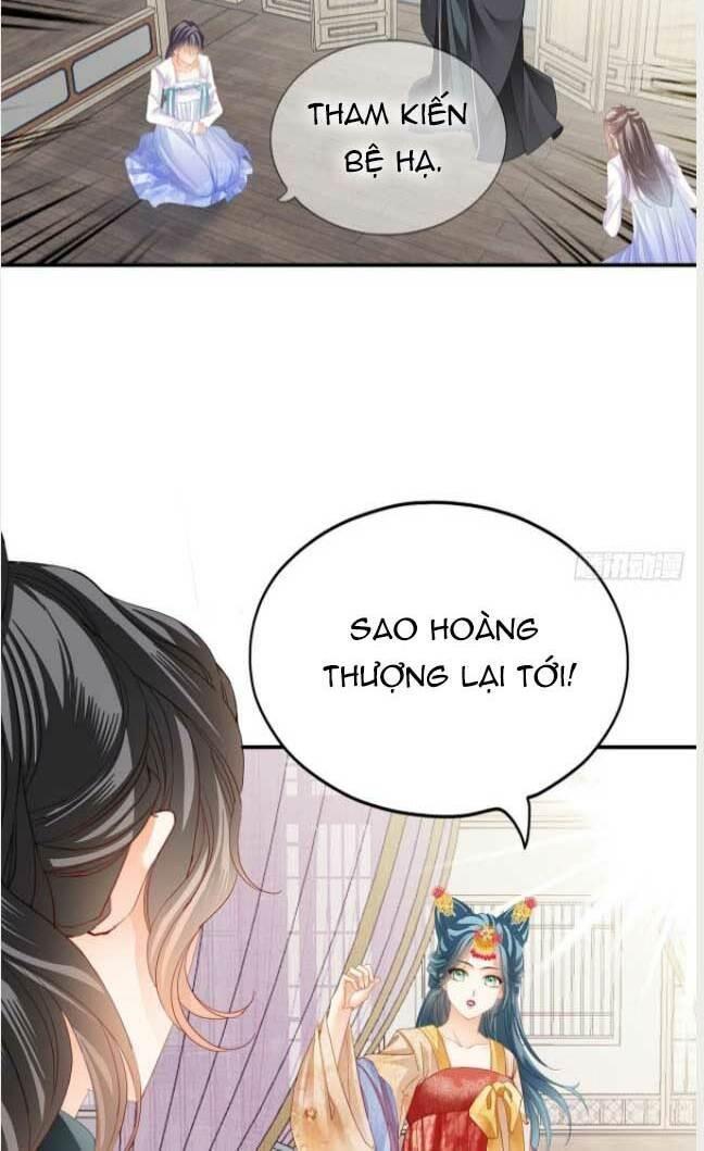 bổn vương muốn nàng chapter 136 28