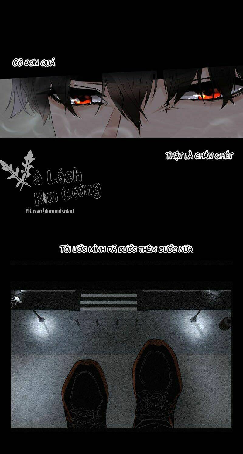 trong vòng tay chapter 2 14