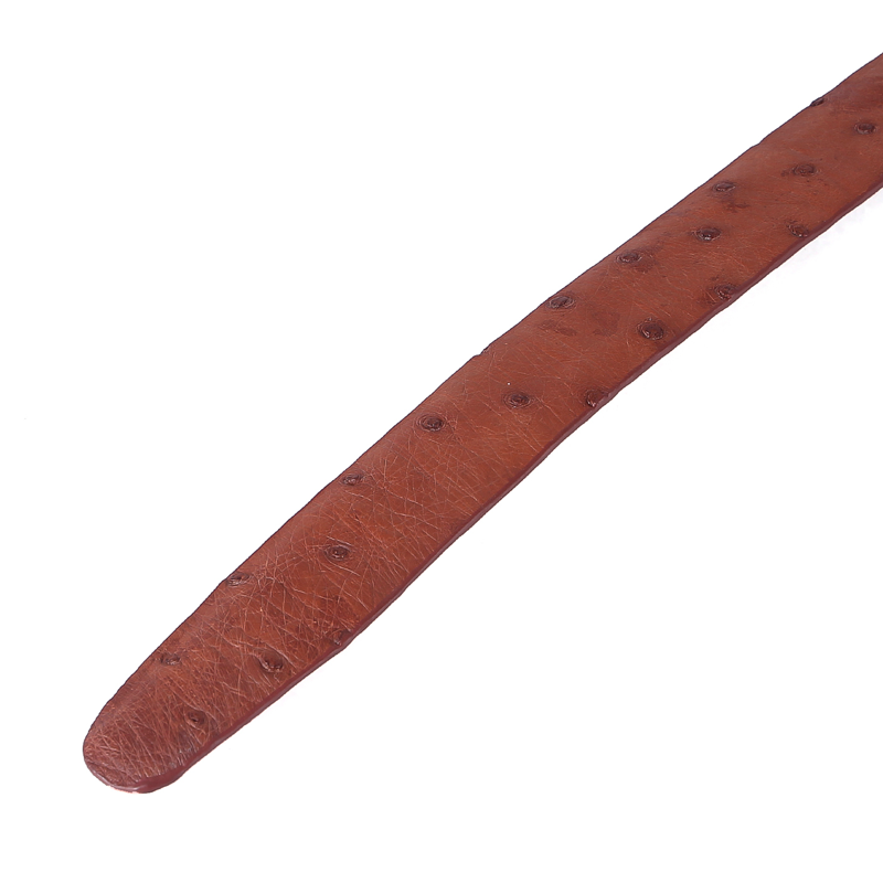 HJ5421-22-23-24 - Dây thắt lưng nữ da đà điểu da hột đen, nâu đất, vàng bò, nâu đỏ