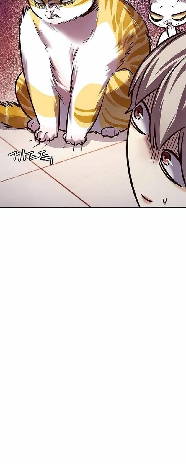 biến thân thành mèo chapter 222 65