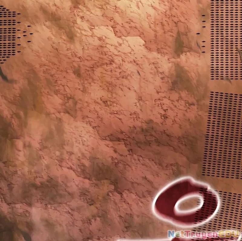 Ngã Lão Ma Thần chapter 246.1 129