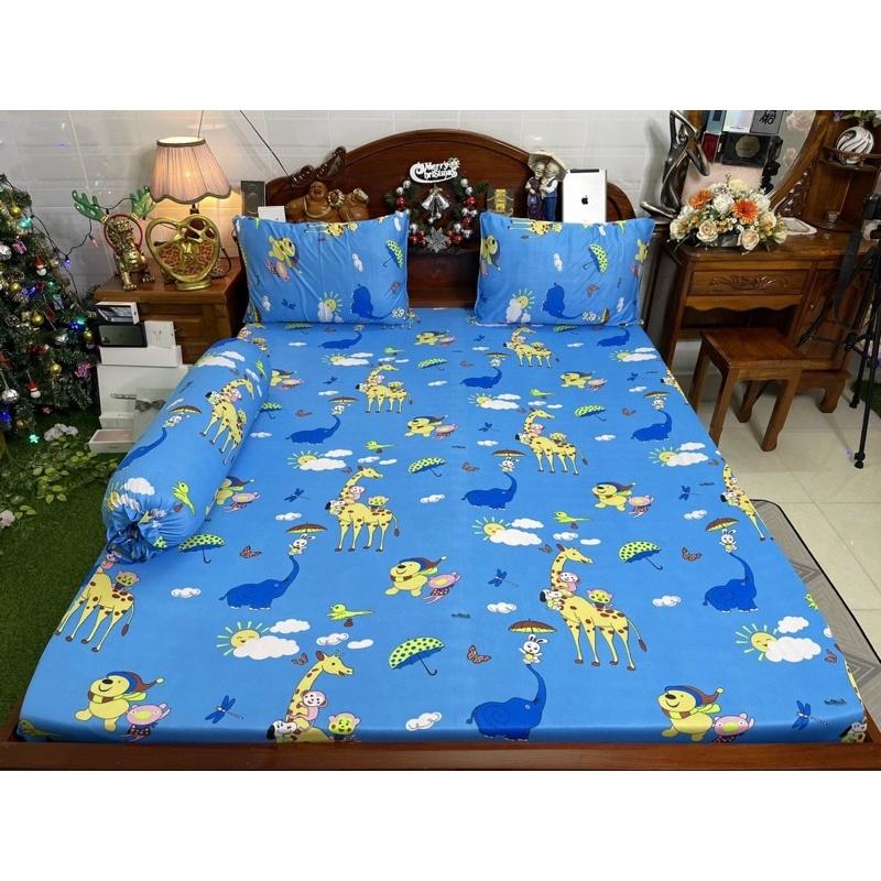 Drap thun hàn quốc