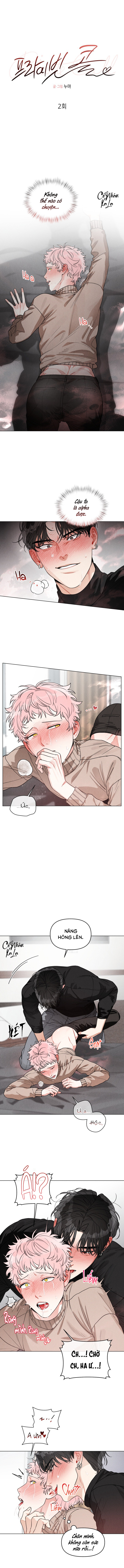 cuộc gọi riêng tư chapter 2 1