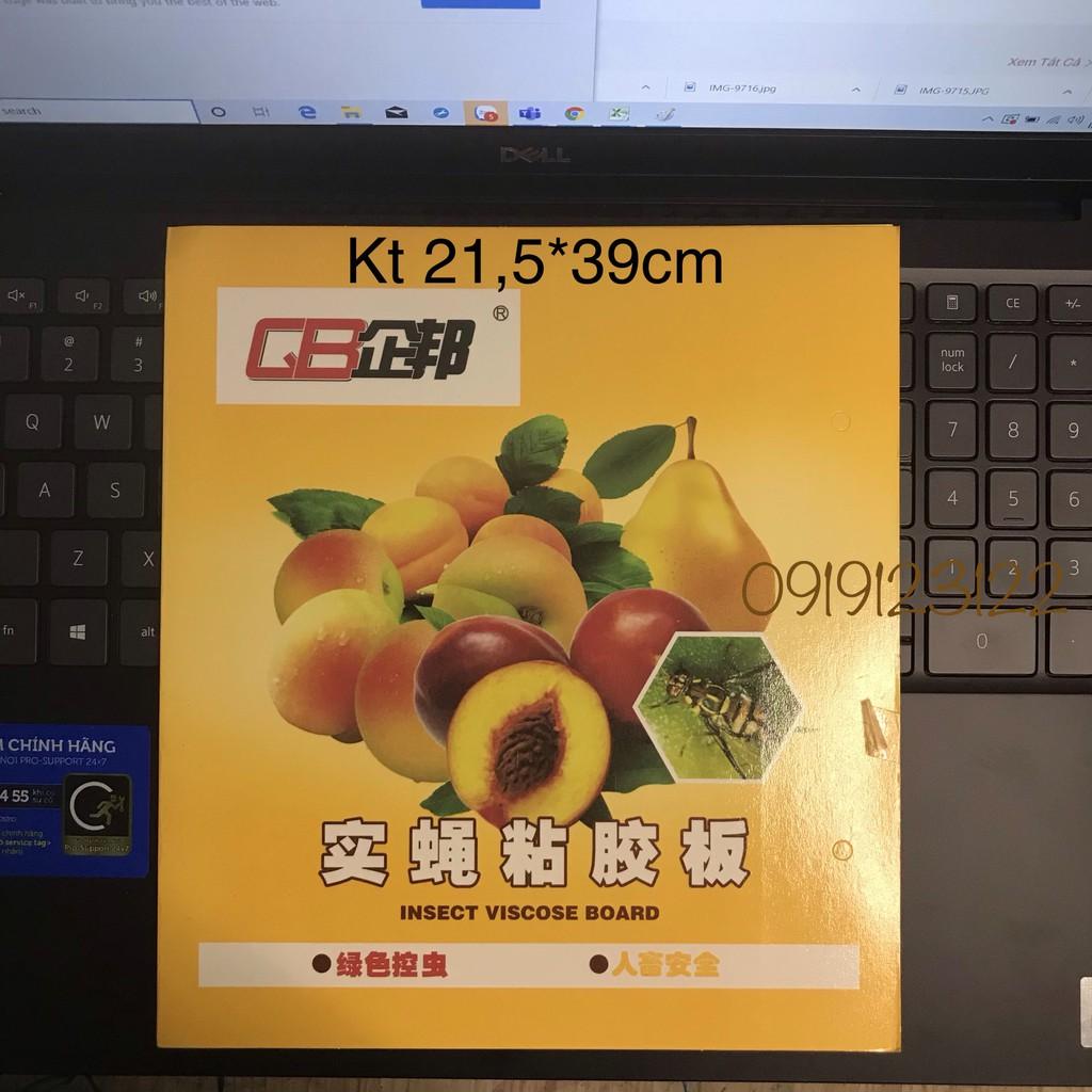 BẪY DÍNH RUỒI VÀNG , CÔN TRÙNG MẪU LỚN 21.5*39CM