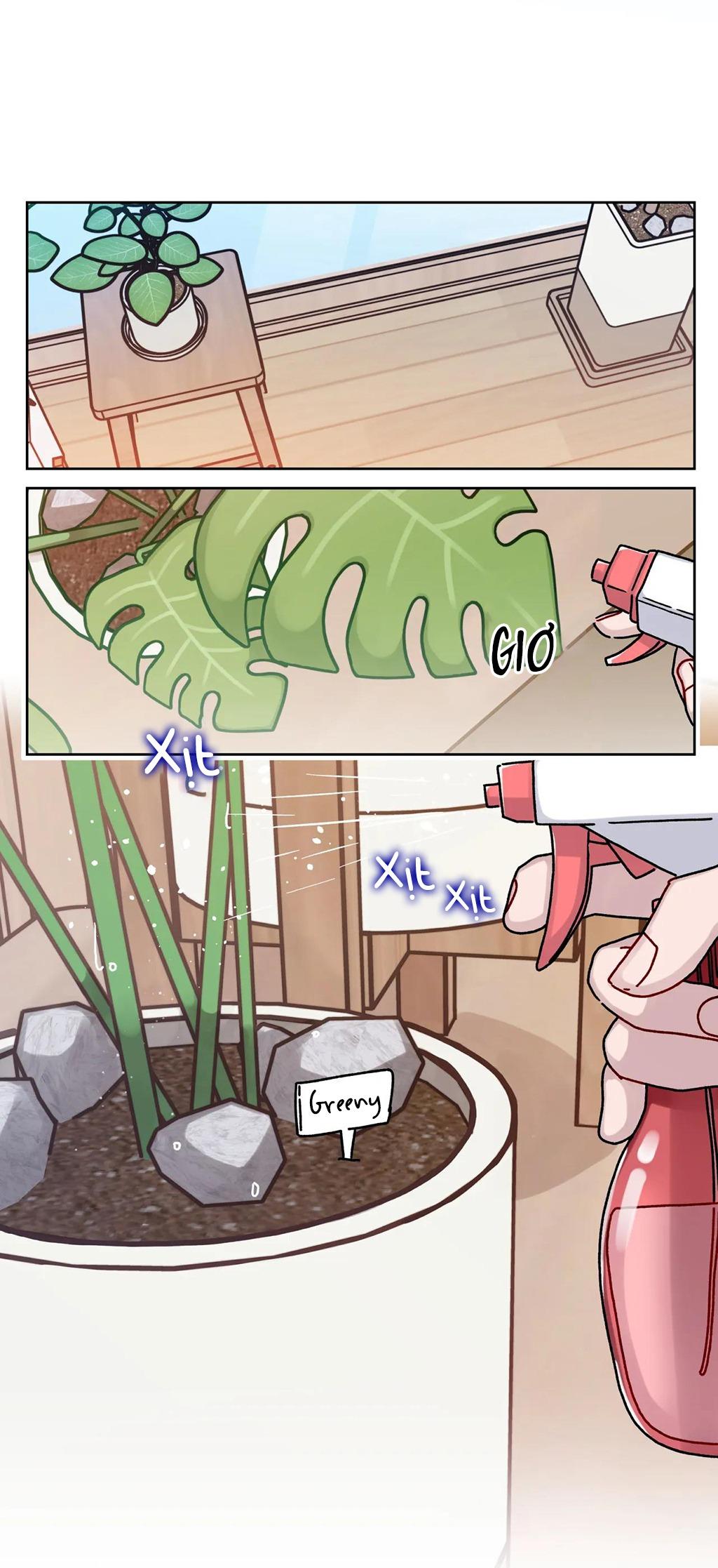 cơn mưa rào mùa hạ chapter 2 16