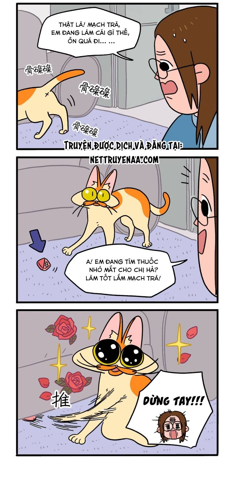 a mãn và mạch trà chapter 5 2