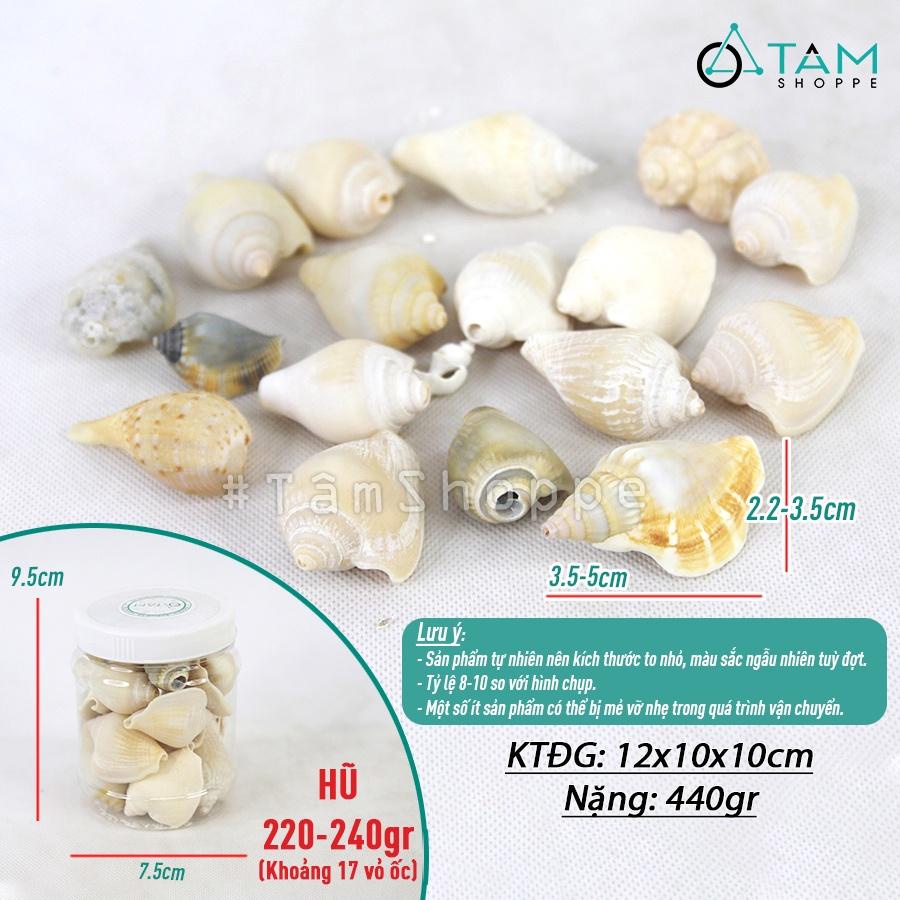 Vỏ ốc nhảy ngắn trang trí phong cách biển hủ 220-240g HOS-06