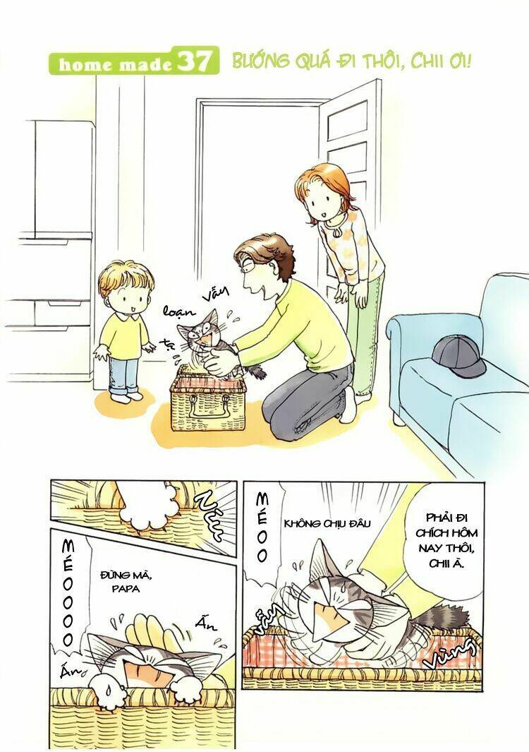 chi's sweet home chapter 37 2