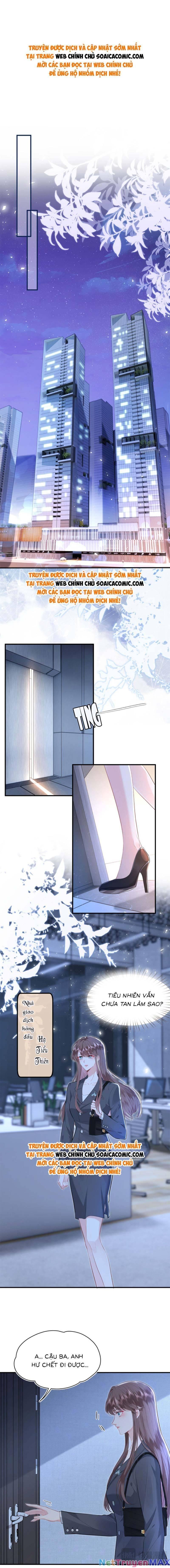 đại boss thần bí lại chiều hư vợ chapter 2 1