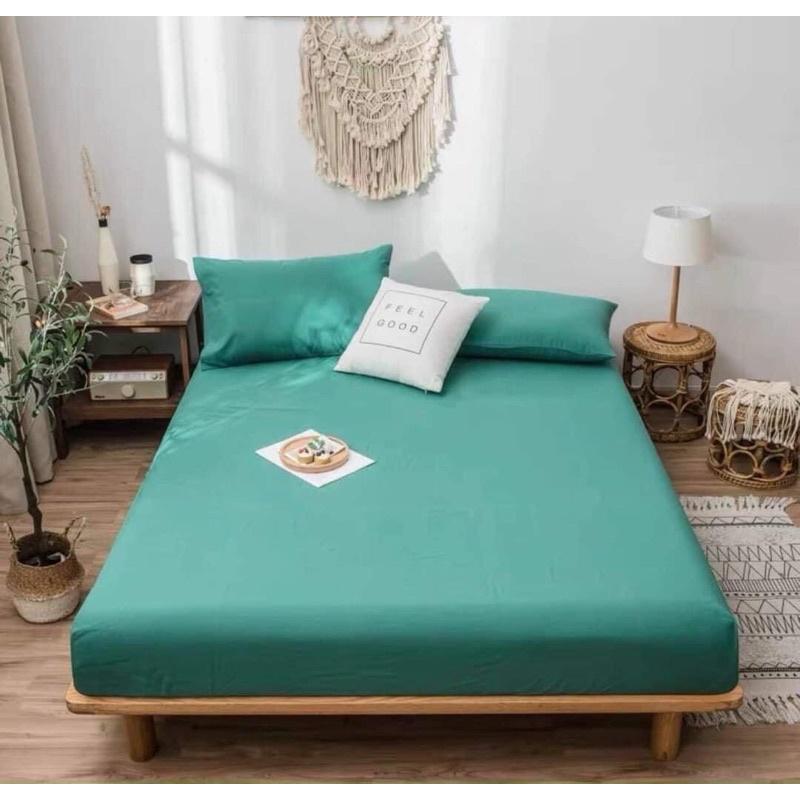 Bộ 3 món ga gối cotton TC nhiều màu