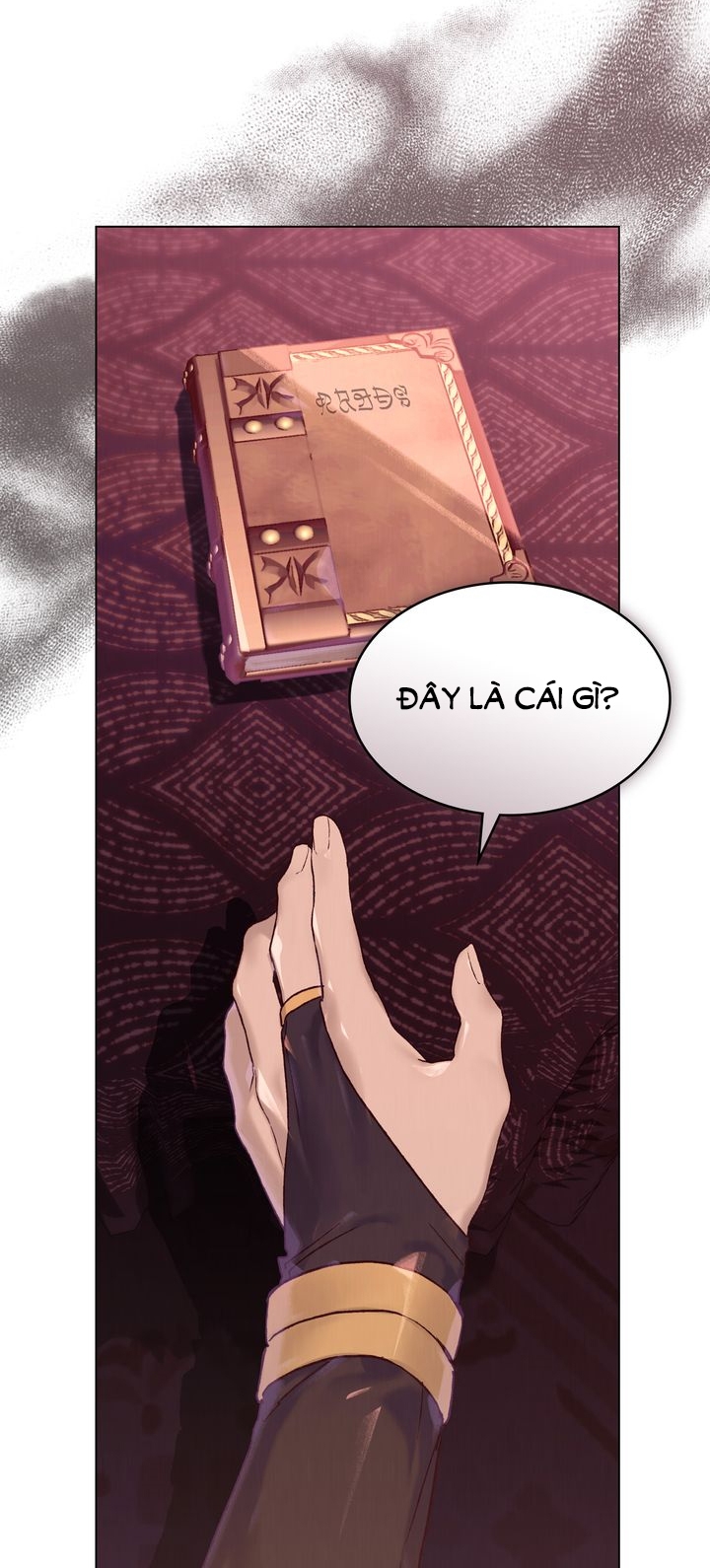 Gọi Ta Là Chủ Nhân chapter 5.2 - Trang 3