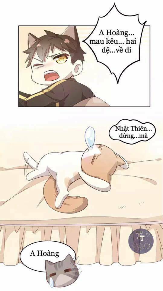 thị hoang chi thần chapter 19 22