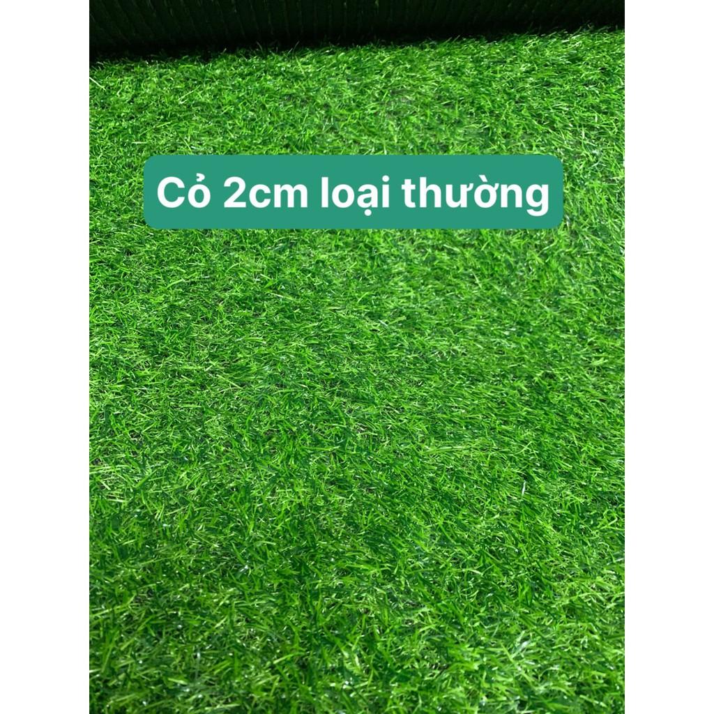 (RẺ NHẤT THỊ TRƯỜNG ) Thảm cỏ nhân tạo 2cm đế thường và đế cao su hàng cao cấp, kích thước 1m2 = 0,5x2m