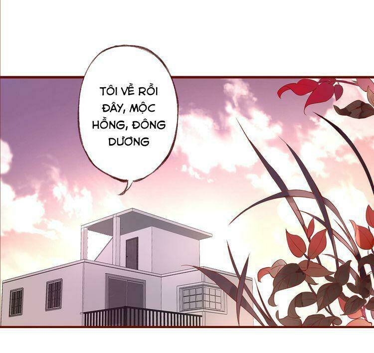 nở rộ trên bụi gai chapter 13 2