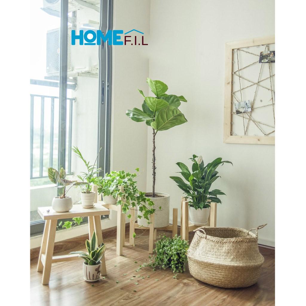 Ghế Đôn Gỗ Thông, Ghế Trang Trí Gỗ Chất lượng Xuất Khẩu