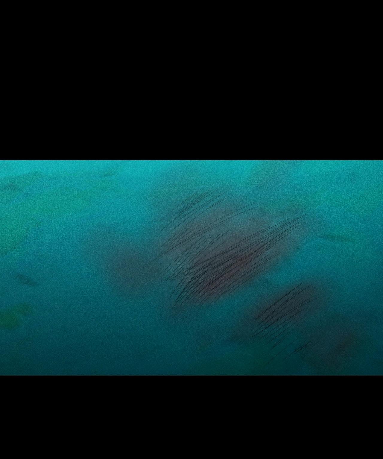 dear teddy bear chapter 30 58