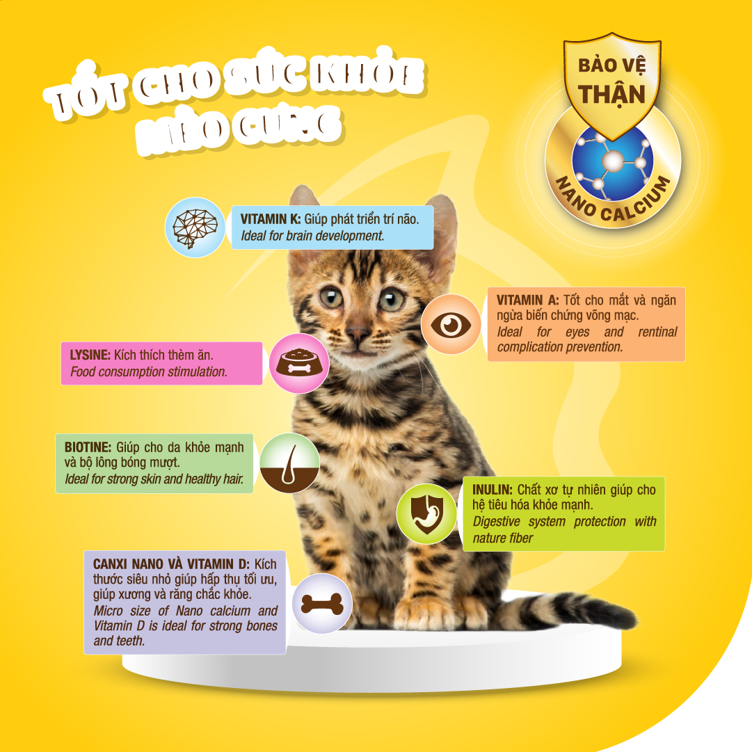 Dr.Kyan - Thức ăn hạt cho mèo nhỏ Feed Plus - Kitten 1,2Kg - Vị cá hồi