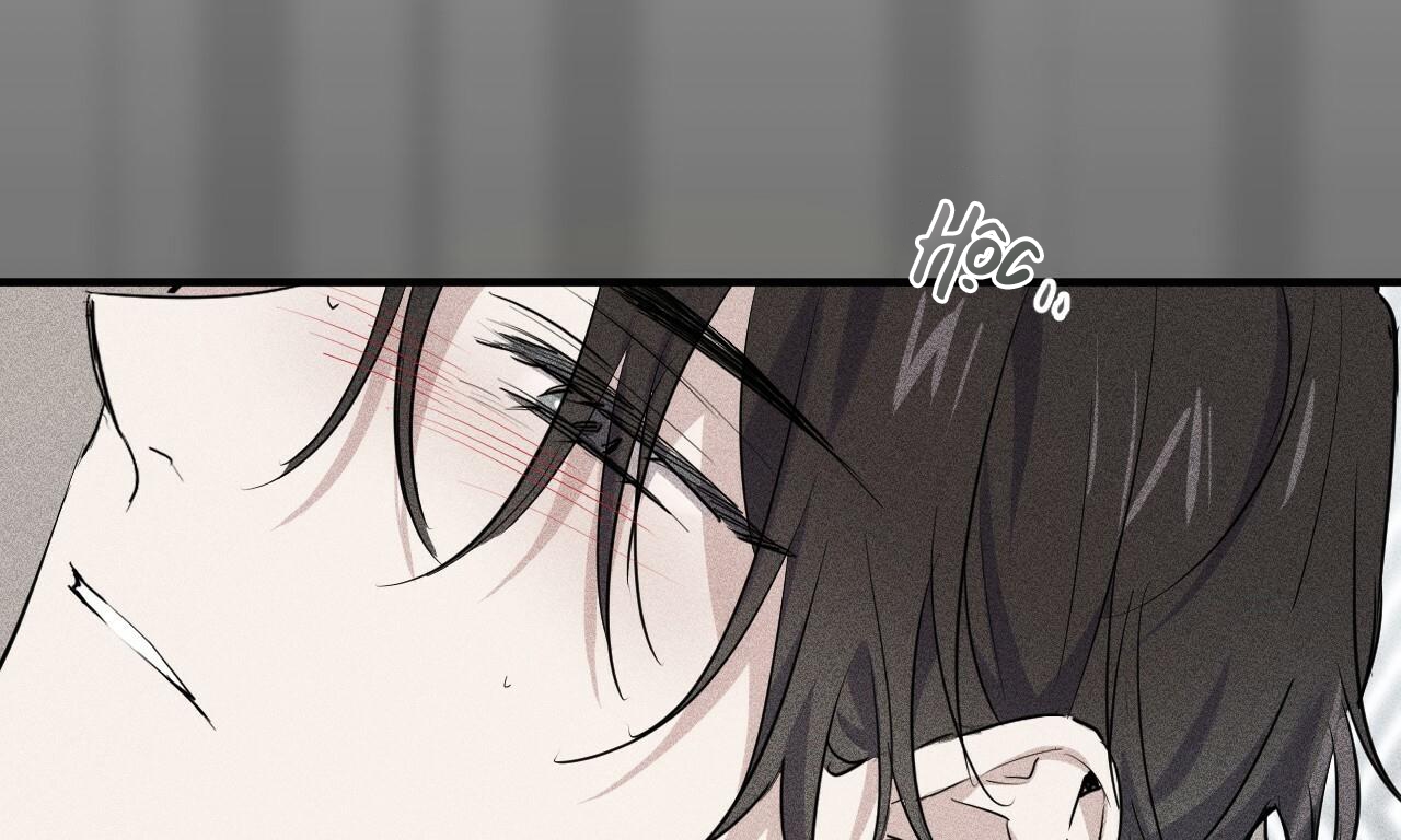 đàn thỏ của habibi chapter 37 7