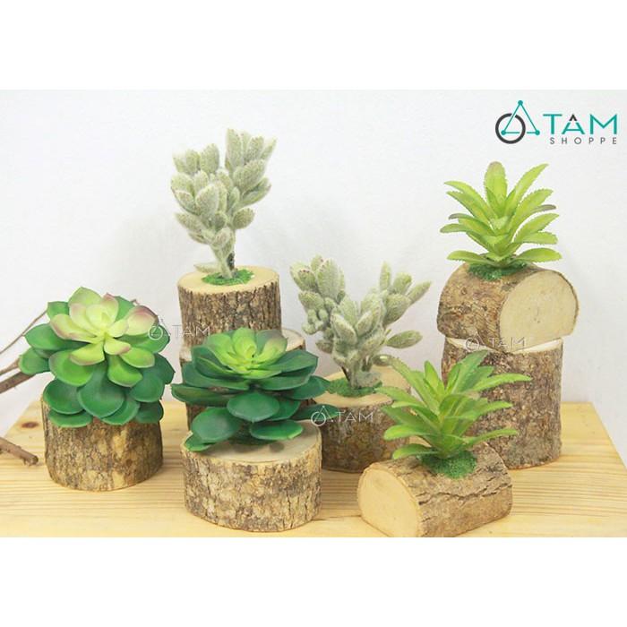 Chậu sen đá giả để bàn chậu gốc cây số 90