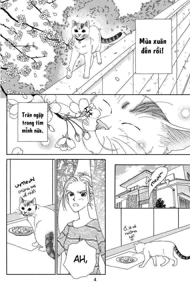 cuộc sống thường nhật của mèo zaccho chapter 1 6