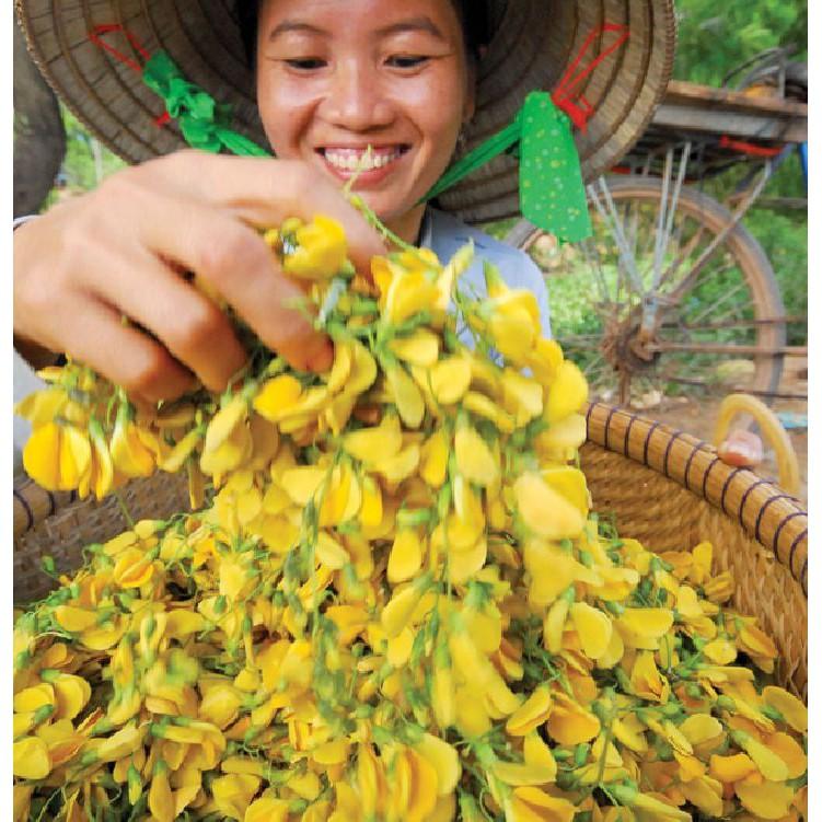 Hạt Giống Hoa Điên Điển F1 - 50 hạt/gói