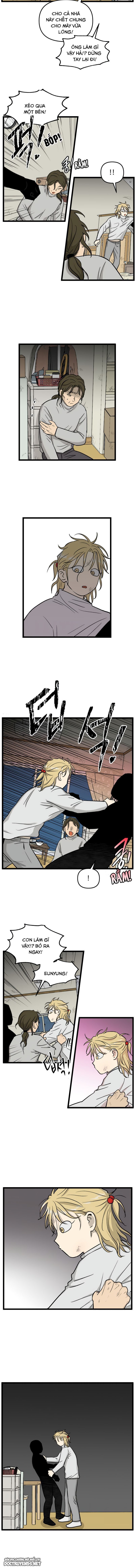 no home - không nhà chapter 205 3