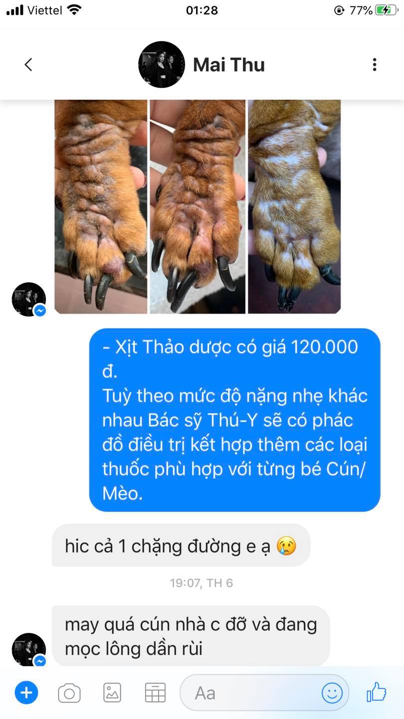 Kem bôi Nấm - viêm da dành cho thú cưng