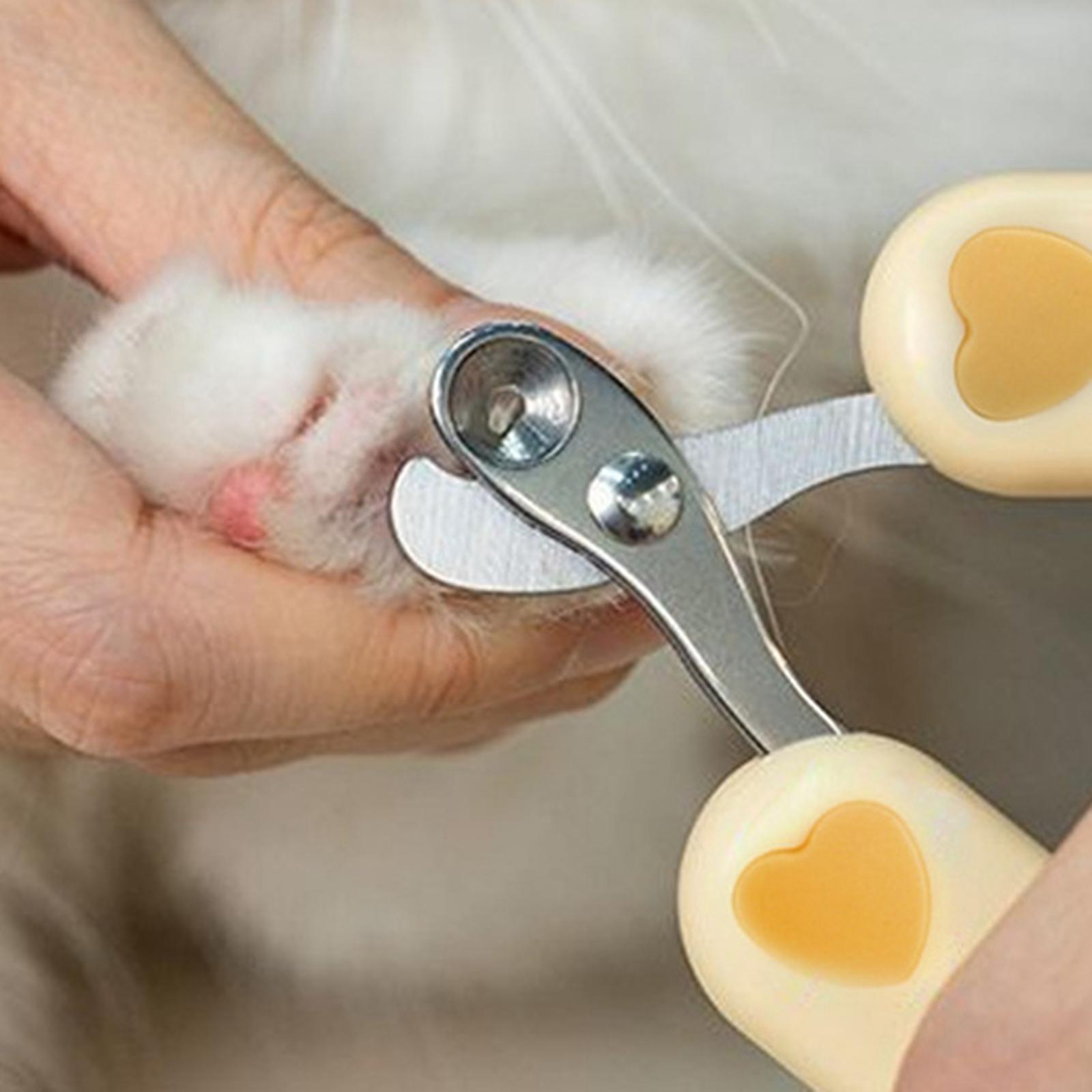 Pet Nail Clippers Cat Claw Clippers Stainless Steel Kitty Nail Clippers Dog Nail Clippers Scissors Pet Grooming Tool for Small Cats and Dogs