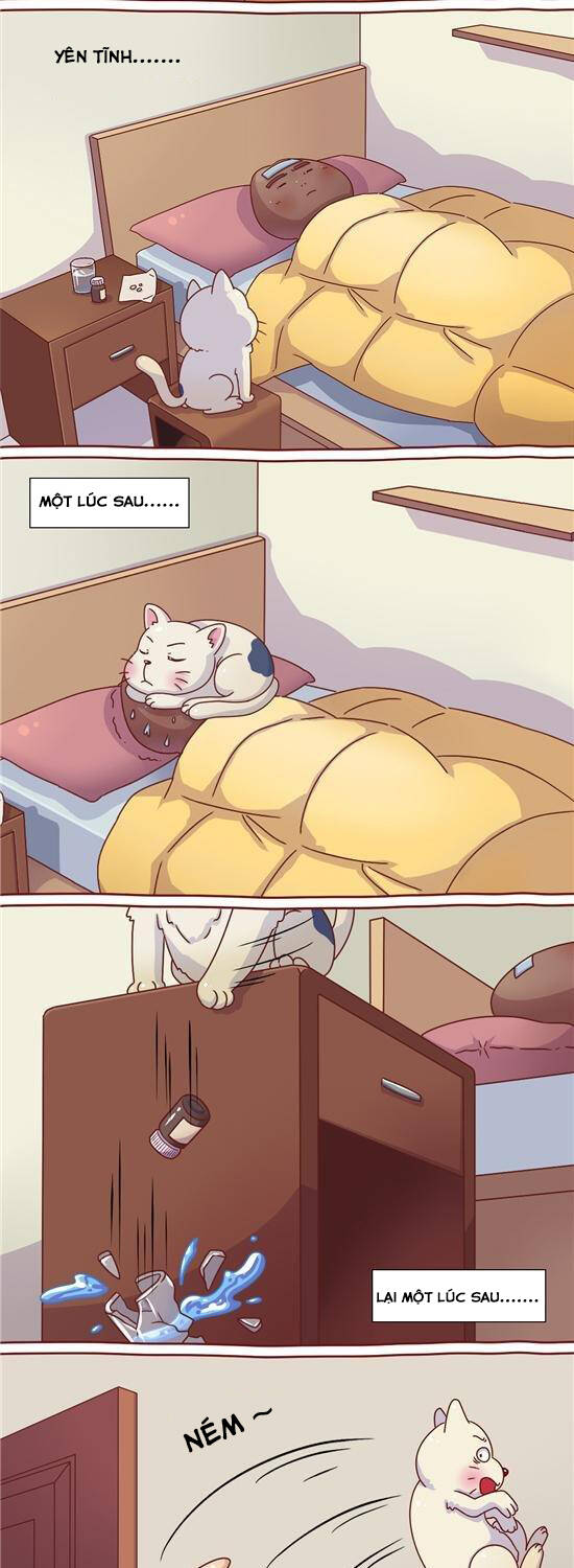 cây nấm kì khả chapter 26 6